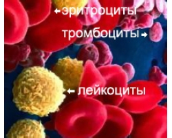 Что может болеть в правом боку при ходьбе