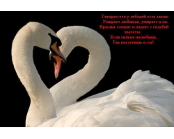 Красивые стихи для любимой женщины