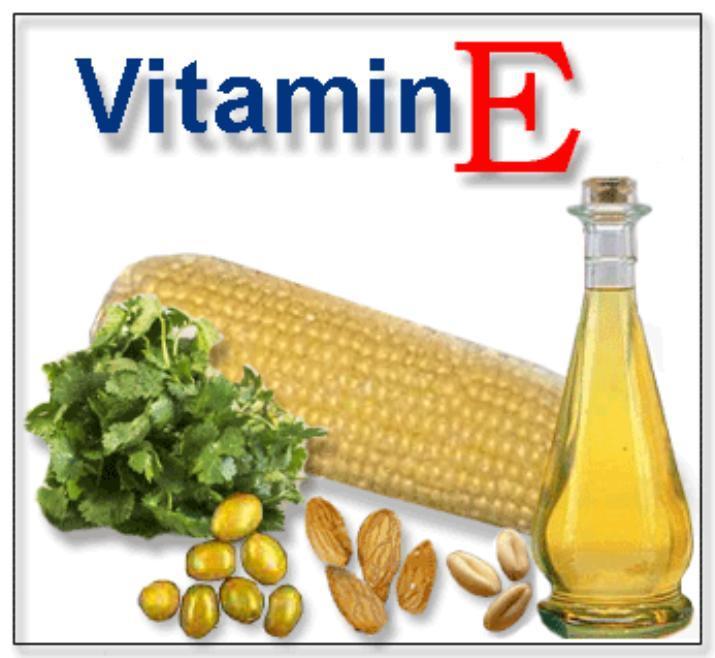 Продукты с высоким содержанием витамина Е