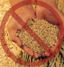 какие продукты есть при похудении список какие продукты есть при похудении список