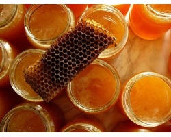 Применение прополиса и других продуктов пчеловодства при беременности