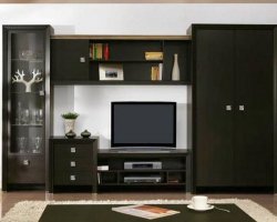 Какие бывают стенки для гостиной?