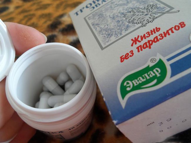 паразиты в почках человека симптомы и лечение паразиты в почках человека симптомы и лечение