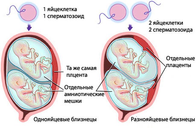 Беременность что делать с токсикозом Что принимать при