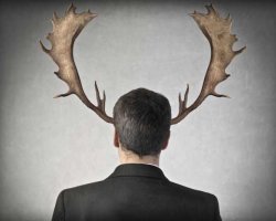 Читать как мне изменила моя девушка Читать как мне изменила моя девушка