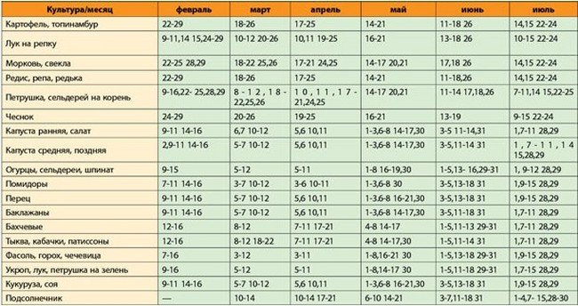 Праздники ноябрь 15 года
