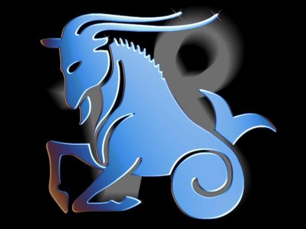 Козерог-кот гороскоп Козерог-кот гороскоп
