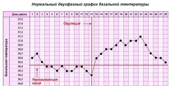 температура во влагалище 37 5 температура во влагалище 37 5