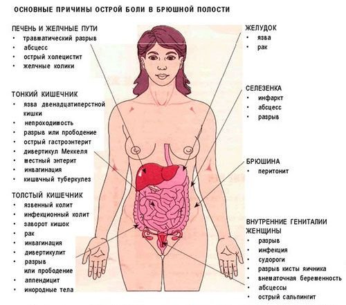 Что если болит спина в ребра отдает Что если болит спина в ребра отдает