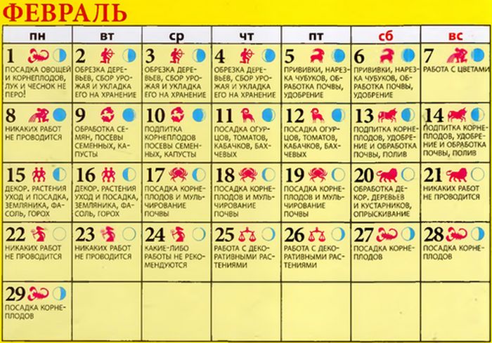 Лунный календарь огородника: февраль 2016 - для России, Украины, Белоруссии