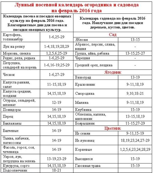 Работа музеев москвы в выходные дни