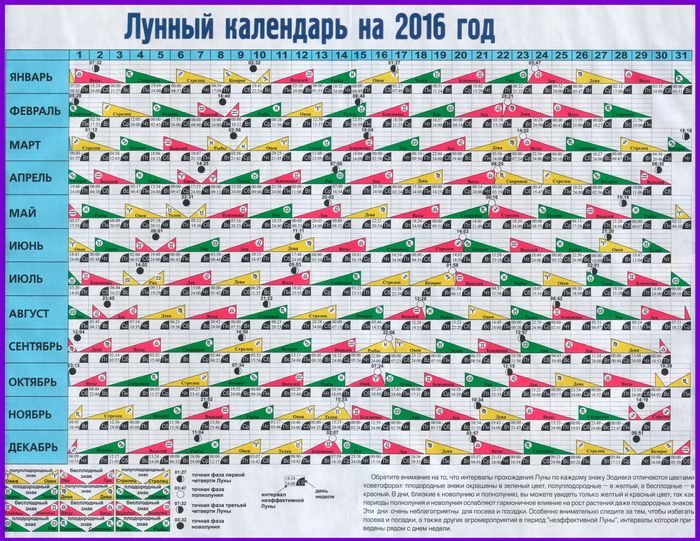 Новогодние праздники по английскому