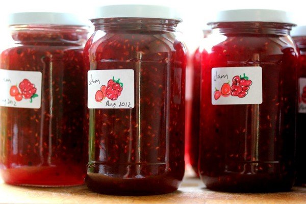 красная смородина рецепты приготовления без сахара красная смородина рецепты приготовления без сахара