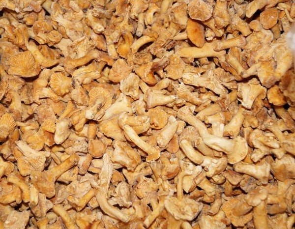 заморозить лисички на зиму рецепты приготовления