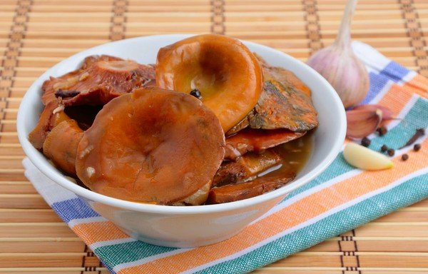 Зимние шины для уаз патриот на 18