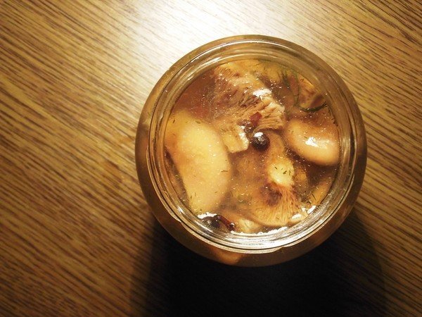 рыжики маринованные на зиму рецепты приготовления холодным способом