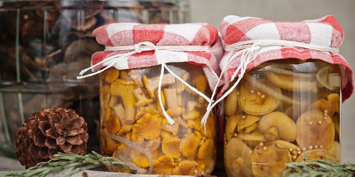 соленые рыжики на зиму рецепты приготовления пошаговый