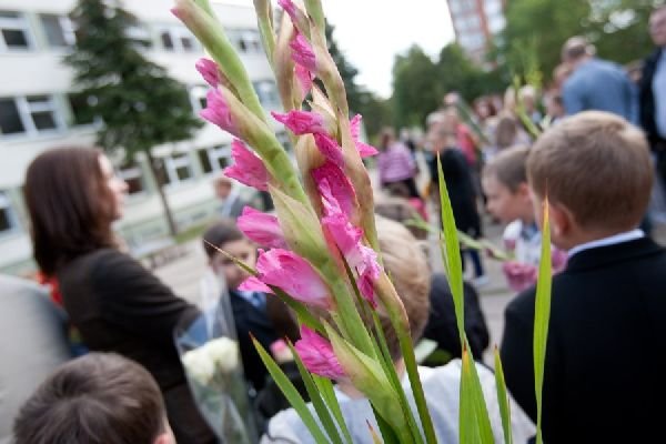 Как вырвать коренной зуб в домашних условиях без боли