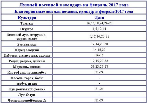 Аниматор на детский праздник день рождения