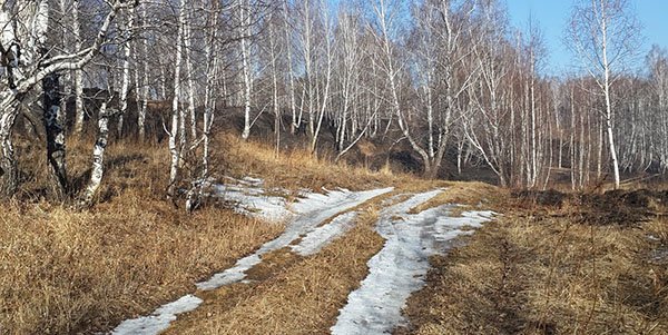 Прогноз погоды в жамбылской области в мерке