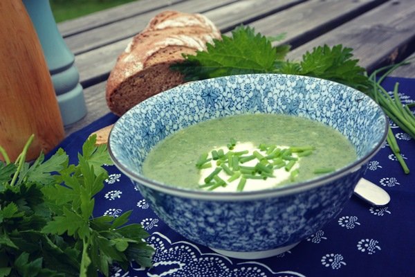 рецепт супа за 5 минут без мяса рецепт супа за 5 минут без мяса