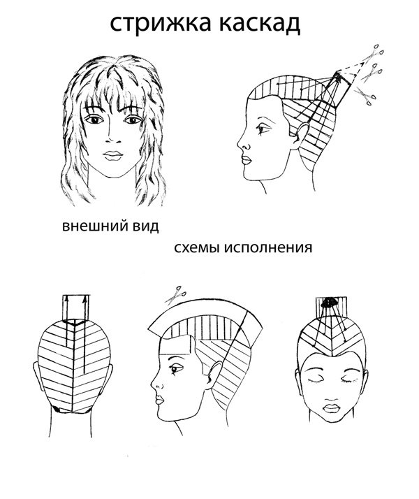 Особенности женской стрижки Особенности женской стрижки