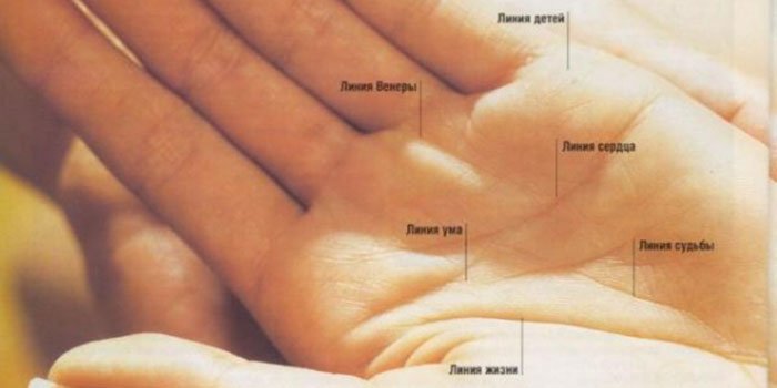 на руке линия жизни фото онлайн на руке линия жизни фото
