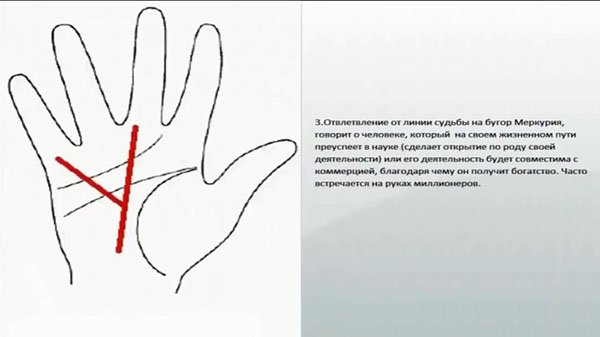 Как определять по руке свою судьбу 40