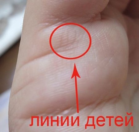 Как по линии на руке узнать сколько будет детей фото Как по линии на руке узнать сколько будет детей фото