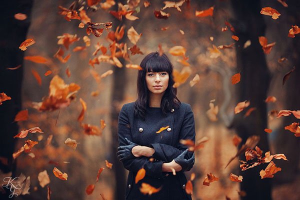 Похожее изображение