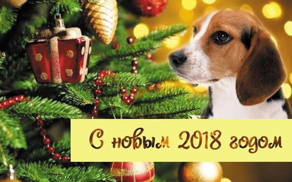 Старинные открытки с новым годом собаки Старинные открытки с новым годом собаки