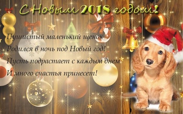 Поздравления с наступающим Новым 2018 годом Собаки короткие Поздравления с наступающим Новым 2018 годом Собаки короткие
