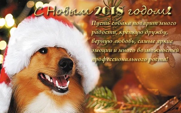 Поздравлениями с Новым годом 2018 Собаки Поздравлениями с Новым годом 2018 Собаки