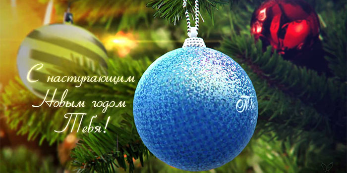 Поздравления с Новым годом любимой 2019 в прозе новые фото Поздравления с Новым годом любимой 2019 в прозе новые фото