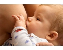 Новорожденный ребенок постоянно сосет грудь