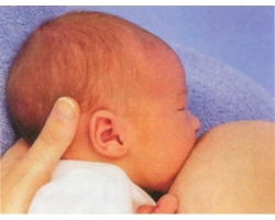 Первое прикладывание новорожденного к груди