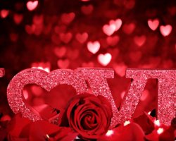 Смс-признание в любви на день всех влюблённых 14 февраля